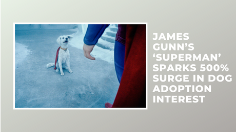 James Gunn’s ‘Superman’ Sparks 500% Surge in Dog Adoption Interest — Here’s How You Can Adopt One Near You