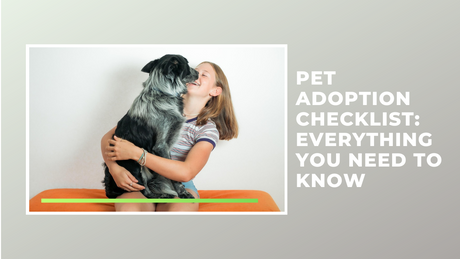 Pet Adoption Checklist: Everything You Need to Know