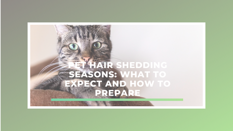 Pet Hair Shedding Seasons: What to Expect and How to Prepare