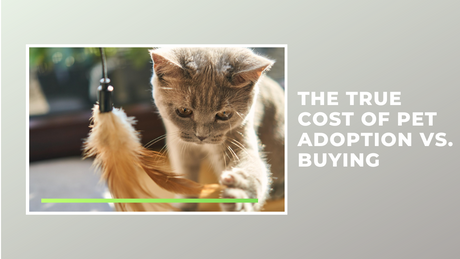 The True Cost of Pet Adoption vs. Buying
