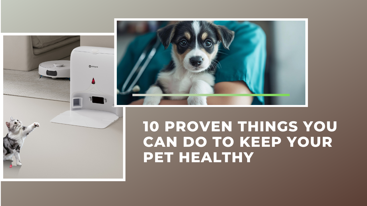 10 Proven Things You Can Do to Keep Your Pet Healthy