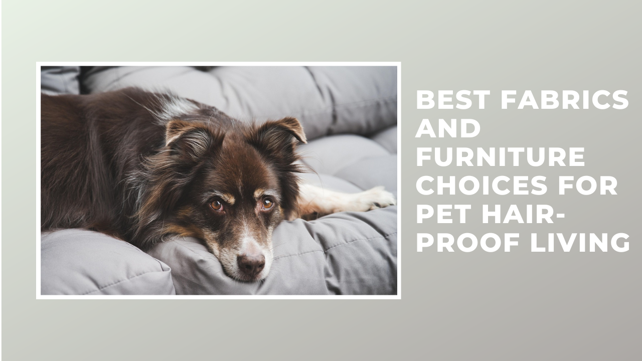 Best Fabrics and Furniture Choices for Pet Hair-Proof Living