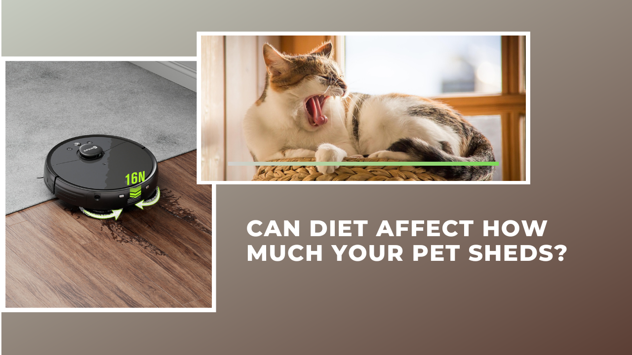 Can Diet Affect How Much Your Pet Sheds?