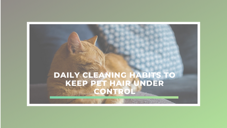 Daily Cleaning Habits to Keep Pet Hair Under Control