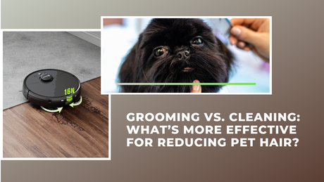 Grooming vs. Cleaning: What’s More Effective for Reducing Pet Hair?