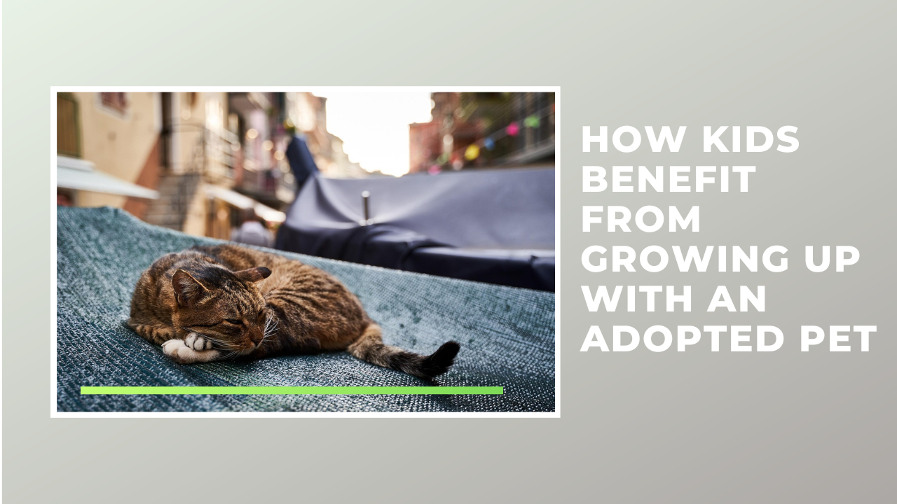 How Kids Benefit from Growing Up with an Adopted Pet