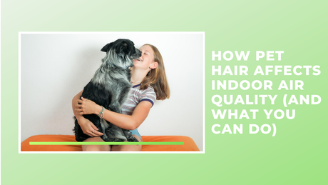 How Pet Hair Affects Indoor Air Quality (And What You Can Do)