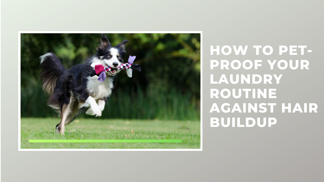 How to Pet-Proof Your Laundry Routine Against Hair Buildup