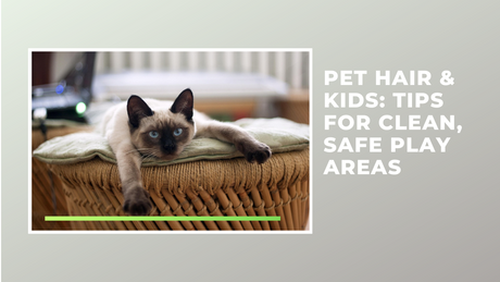 Pet Hair & Kids: Tips for Clean, Safe Play Areas