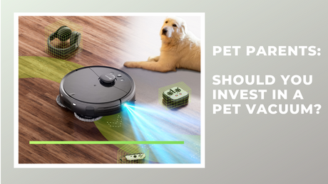 Pet Parents: Should You Invest in a Pet Vacuum?