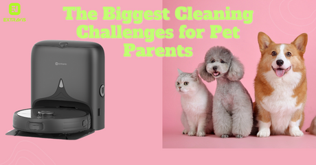 The Biggest Cleaning Challenges for Pet Parents (and How to Solve Them)
