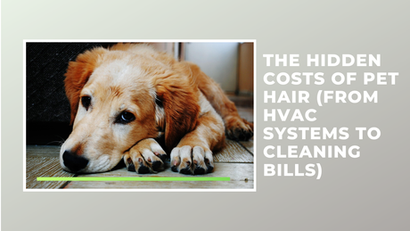 The Hidden Costs of Pet Hair (From HVAC Systems to Cleaning Bills)