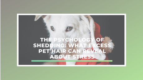 The Psychology of Shedding: What Excess Pet Hair Can Reveal About Stress