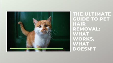 The Ultimate Guide to Pet Hair Removal: What Works, What Doesn’t