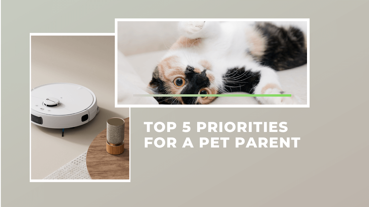 Top 5 Priorities for a Pet Parent and How to Achieve Them