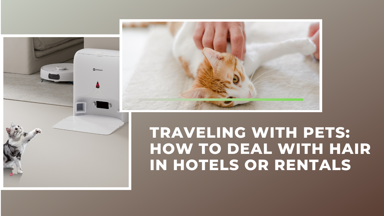 Traveling with Pets: How to Deal with Hair in Hotels or Rentals