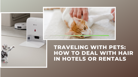 Traveling with Pets: How to Deal with Hair in Hotels or Rentals